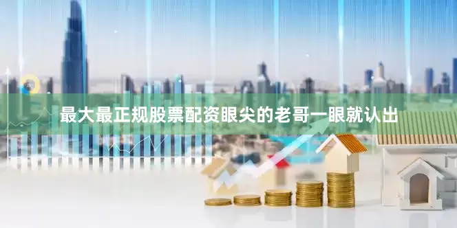 最大最正规股票配资眼尖的老哥一眼就认出