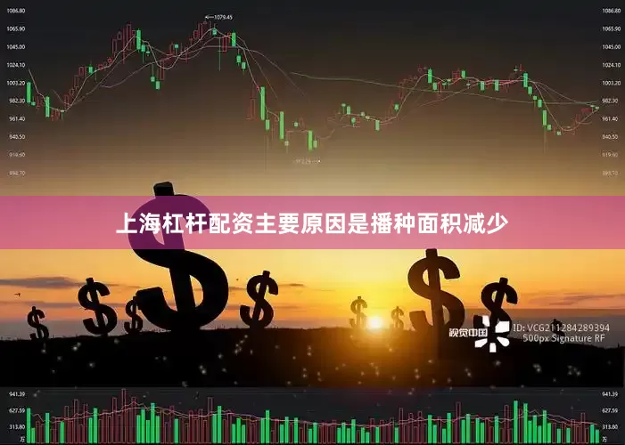 上海杠杆配资主要原因是播种面积减少
