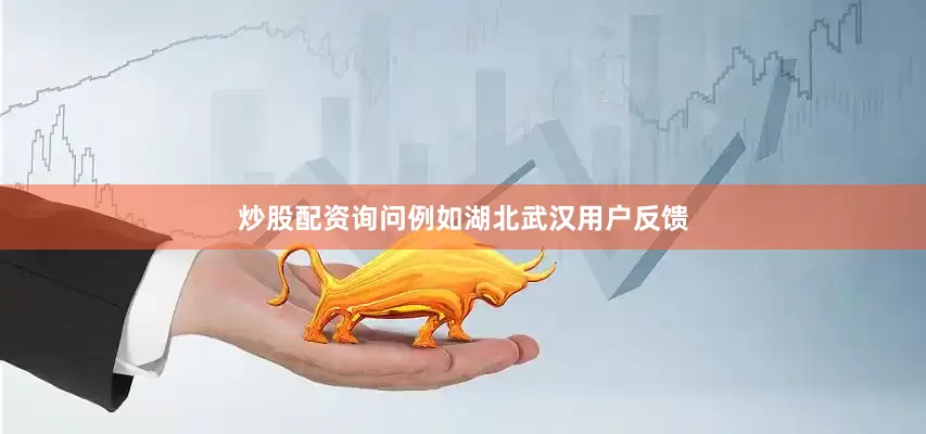 炒股配资询问例如湖北武汉用户反馈