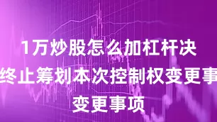 1万炒股怎么加杠杆决定终止筹划本次控制权变更事项